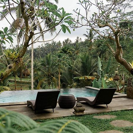 Sebatu Tulen Villa Тегаллаланг Экстерьер фото