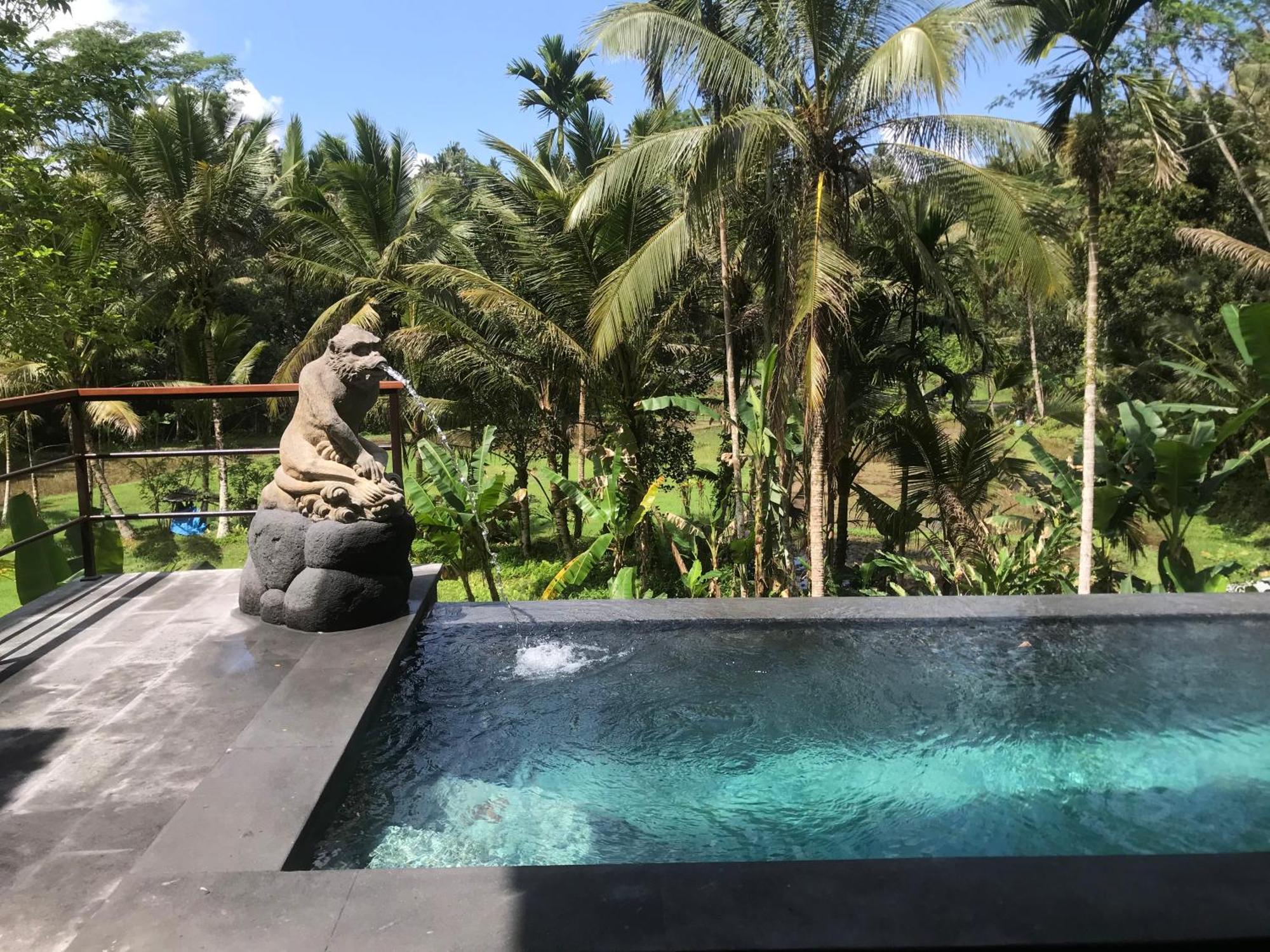 Sebatu Tulen Villa Тегаллаланг Экстерьер фото